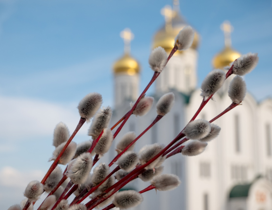 Вербная неделя в 2025 году: запреты, традиции, правила