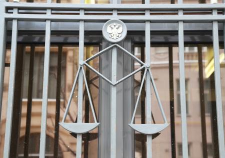 Россиянам объяснили, что понимается под насилием над представителем власти