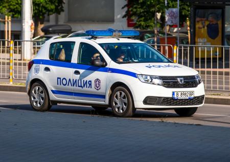 Пара влюбленных живодеров годами снимала на видео истязания животных