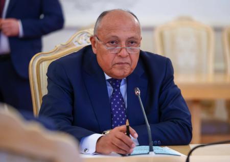 Хлеба и мира: Каир зашел в Москву через Вашингтон