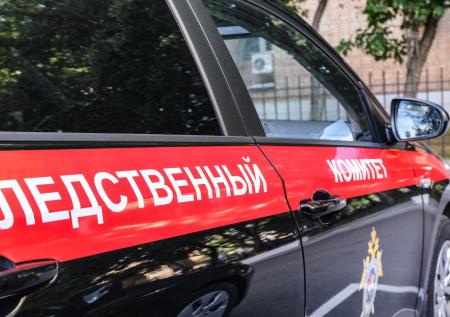 Причиной смерти избитого школьника признали отравление