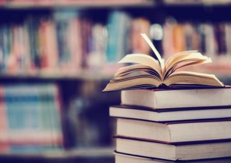 В ДНР нашли напечатанные в НАТО украинские экстремистские книги