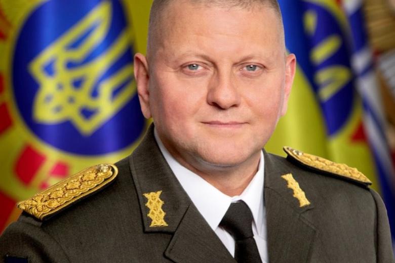 Валерий Залужный