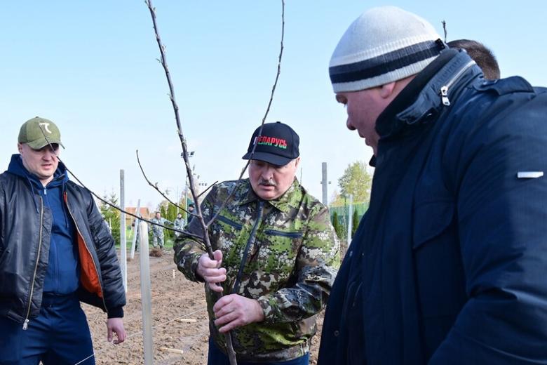 Александр Лукашенко