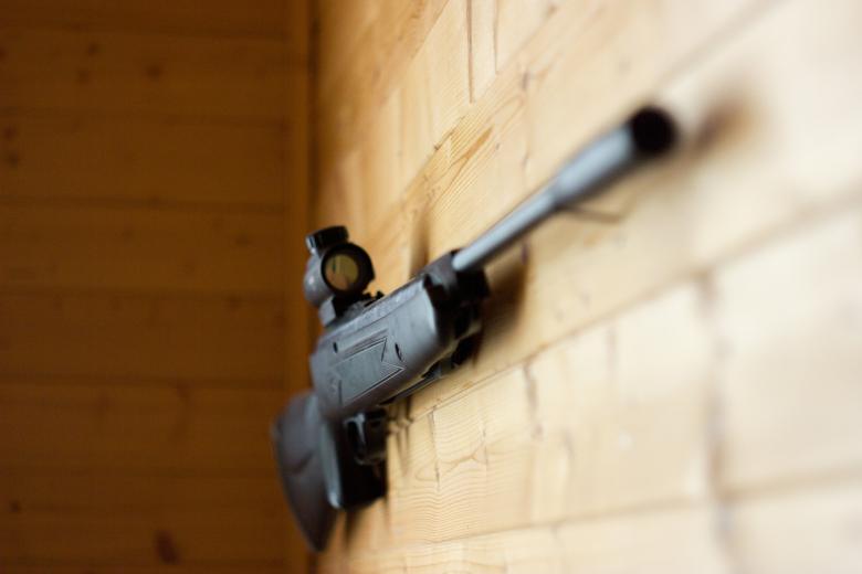 gun