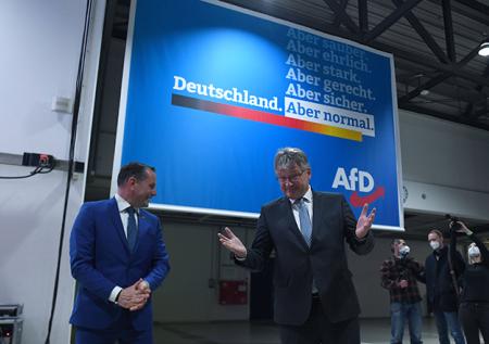 Dexit: депутаты «Альтернативы для Германии» призвали к выходу страны из ЕС