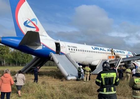 Что известно об аварийной посадке Airbus в поле: причины, пострадавшие