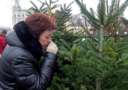 Ёлочные базары заработали по всей Москве