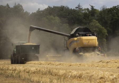 Стало известно о росте производства сельхозпродукции в 2023 году