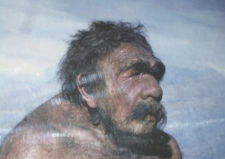 У неандертальцев обнаружена Y-хромосома от Homo sapiens