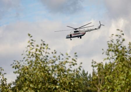 В российском регионе объявили о режиме ЧС из-за жаркой и сухой погоды