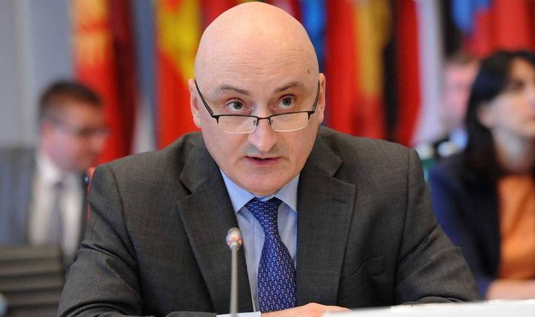 Министр иностранных дел Грузии Давид Дондуа 