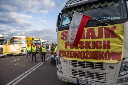 Эксперт объяснил, как польские дальнобойщики подыгрывают России в СВО