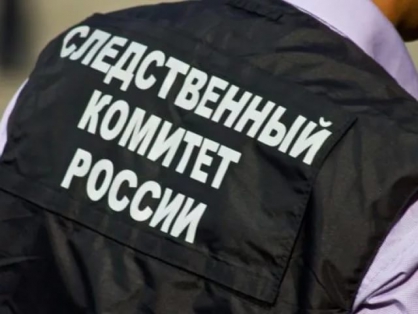 Следователи возбудили уголовное дело из-за опрокидывания батута в Барнауле