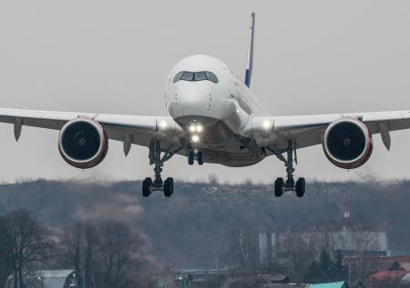 Росавиация сняла ограничения на полеты в Ульяновск