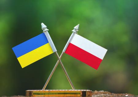 Янукович: Украина может быть вынуждена присоединиться к Польше