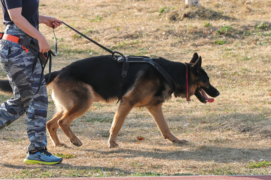 Мать знала, но молчала: отчим утопил труп пасынка и изображал его поиски