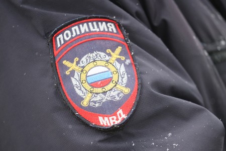 Тамбовских студентов заподозрили в жестокой расправе над котом