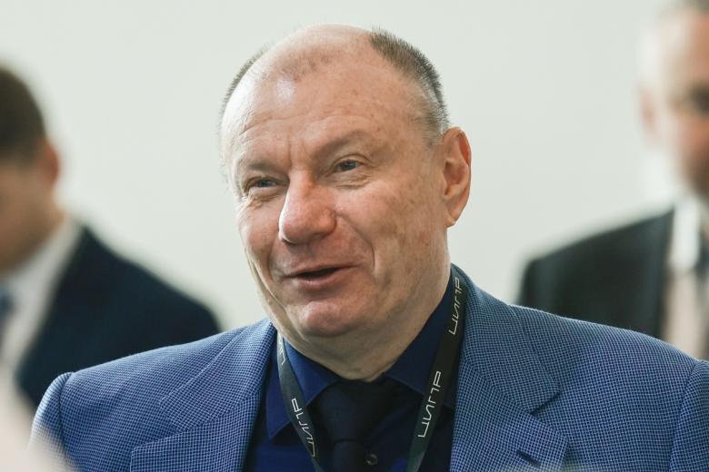 Владимир Потанин