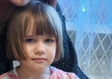 В Оренбуржье обнаружена поляна с игрушками во время поисков девочки
