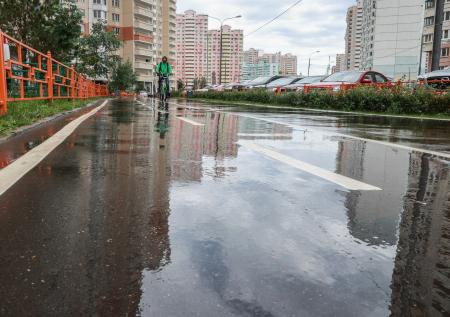 Биологи раскрыли секрет особого запаха после дождя
