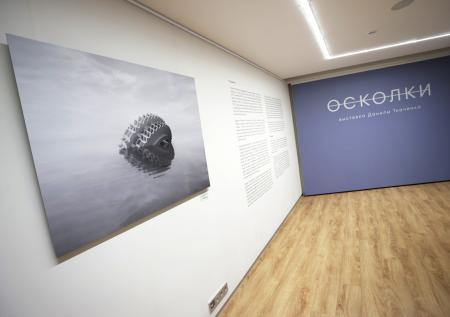Галерея Люмьер представила выставку Данилы Ткаченко «Осколки»