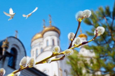 Вербное воскресенье: главный запрет, о котором не скажут в церкви