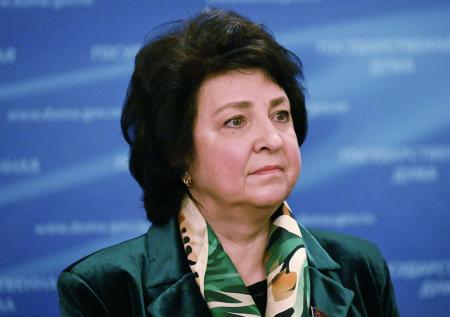 Депутат ответила правительству на критику идеи создания соцфонда