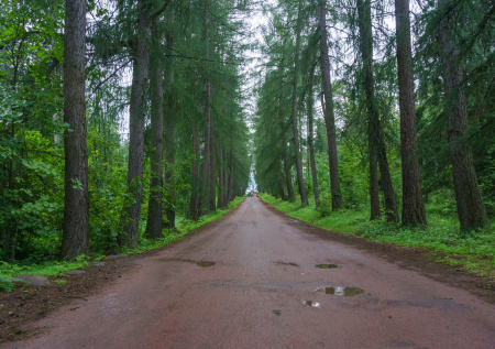 Одному жителю Карелии официально разрешили опаздывать в школу